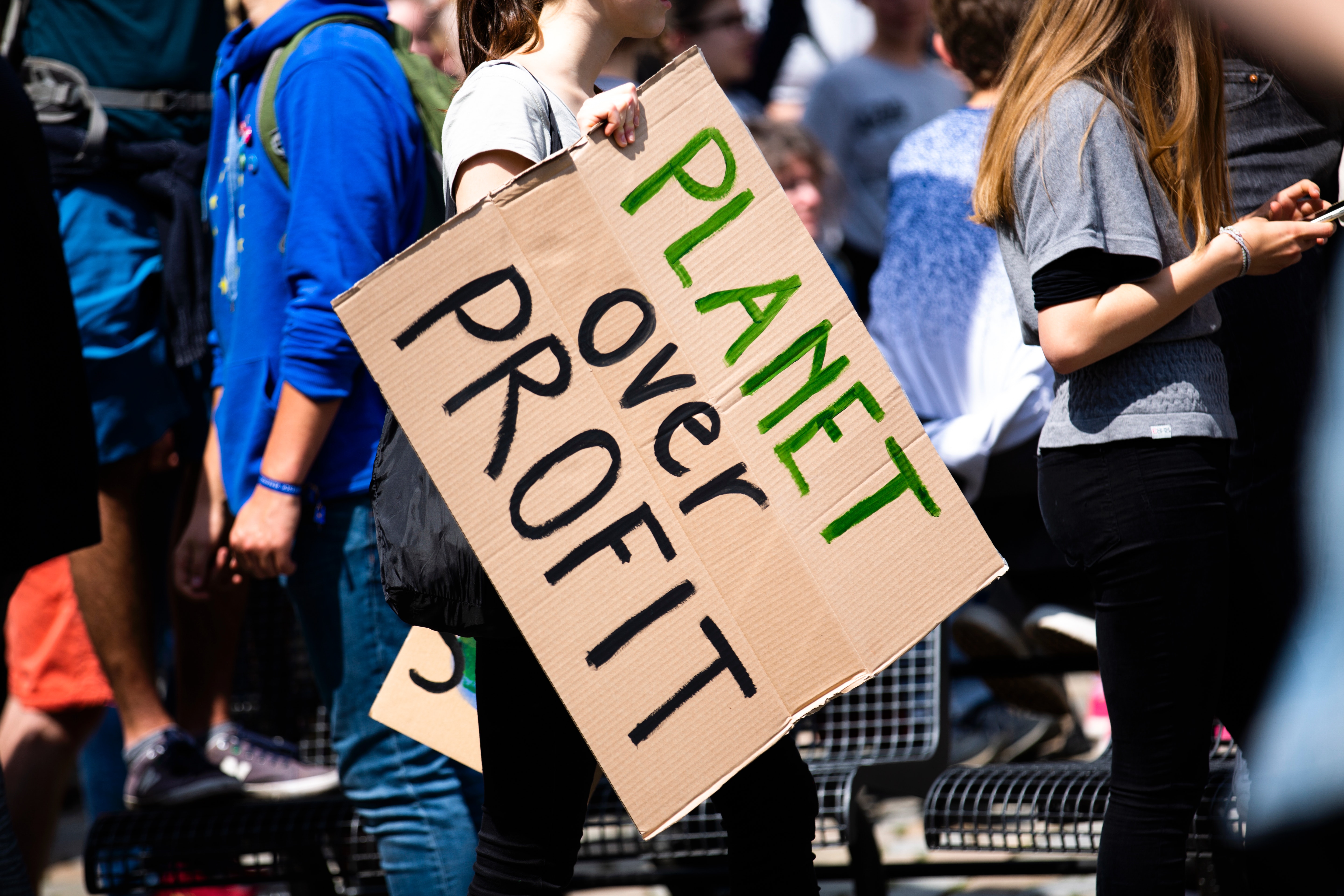 Protesti silt